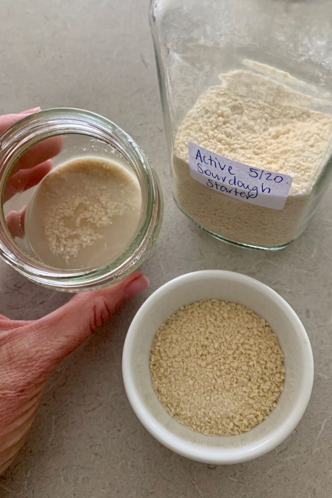 How to store sourdoughs starter