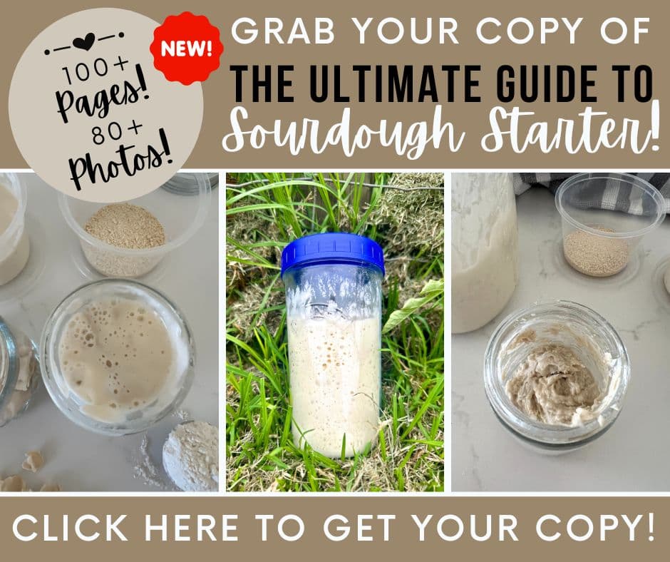 The Ultimate Guide to Sourdough Starter - Ad for Ebook.