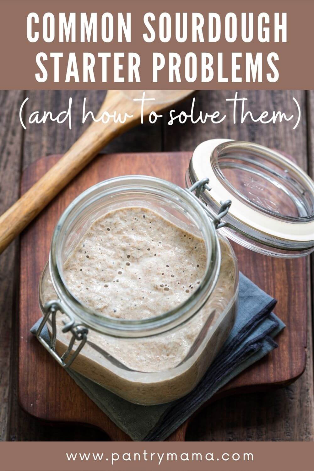 30 Common Sourdough Starter Problems [Sourdough Starter Troubleshooting