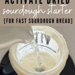 Activate dried sourdough starter - PINTEREST IMAGE