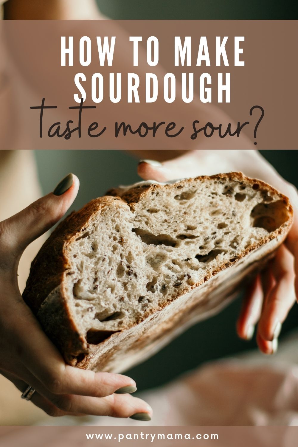 How to make sourdough more sour a guide to getting more tang in your