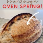 Sourdough oven spring