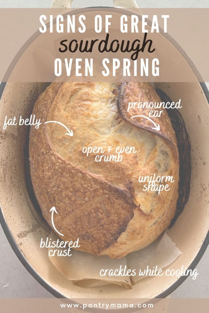 Great sourdough oven spring