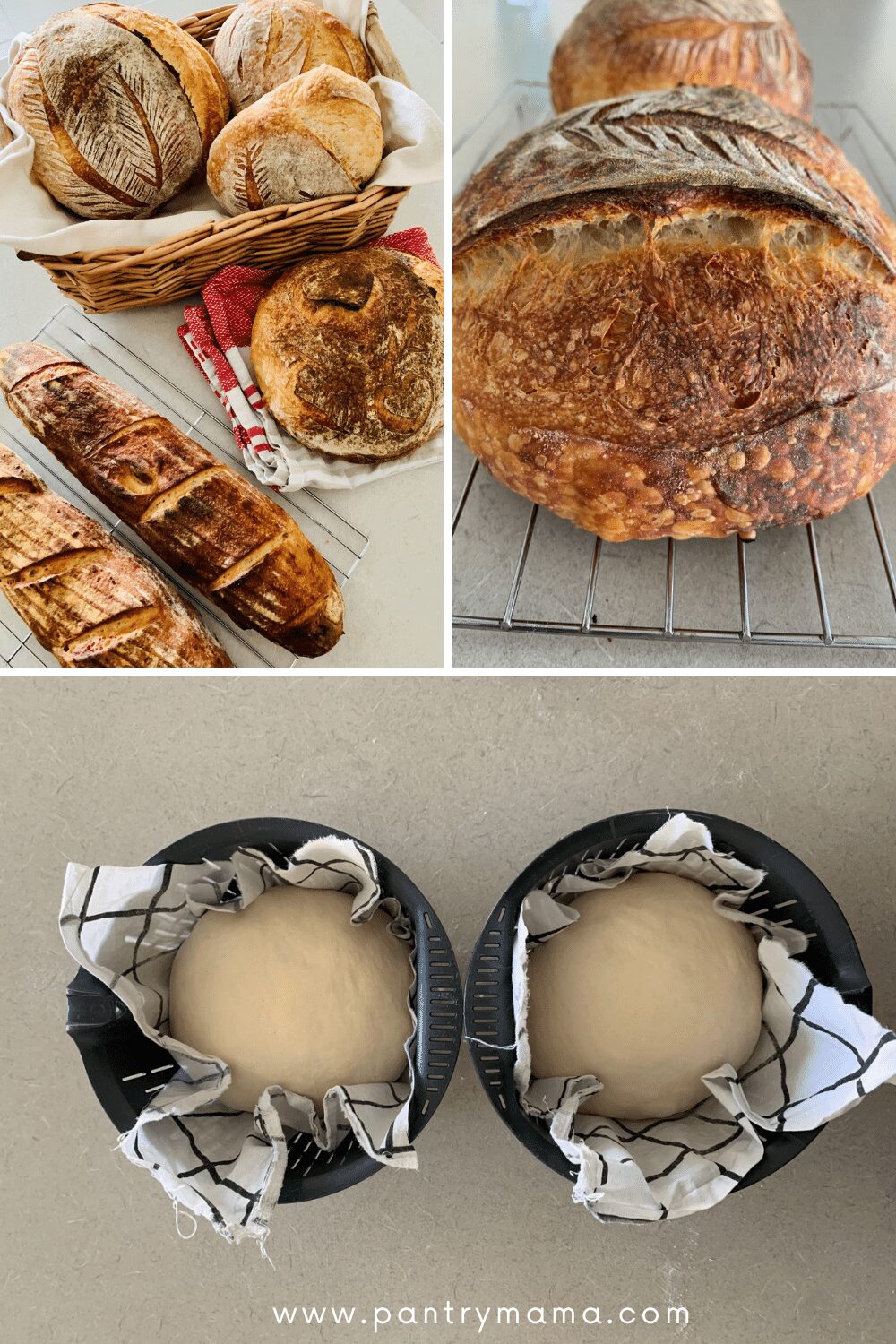Thermomix Sourdough Make Real Sourdough Bread in Your Thermomix {without yeast} The Pantry Mama
