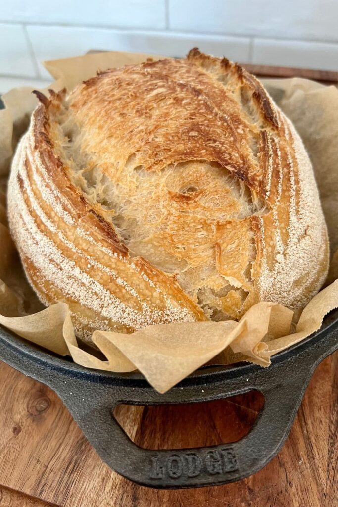 Oval or batard shaped sourdough that has been baked in a Lodge Double Dutch Oven. You can see the baked loaf sitting on top of parchment paper on the upturned lid of the Lodge Combo Cooker.