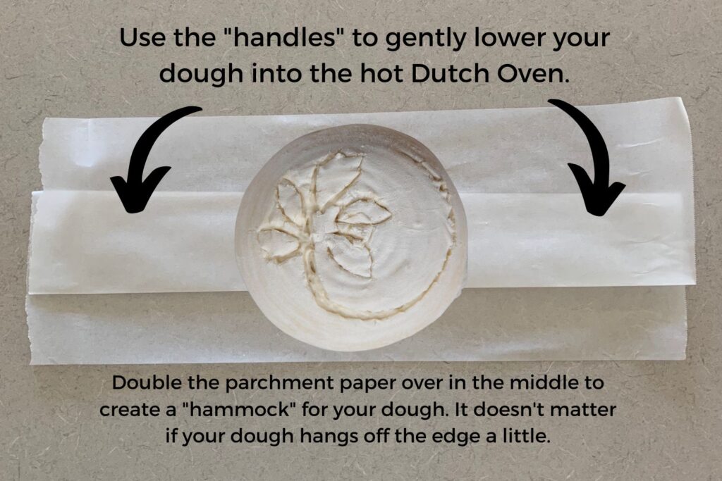 How Dutch Oven Size Affects Sourdough - Siamese Sourdough