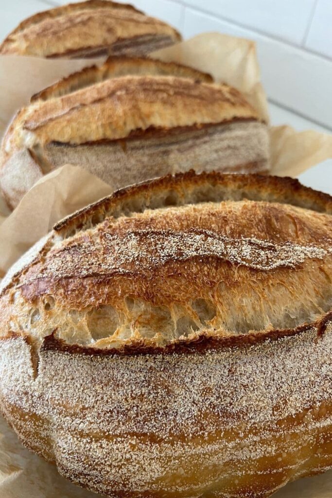 3 sourdough batards sitting on a counter top in a row.