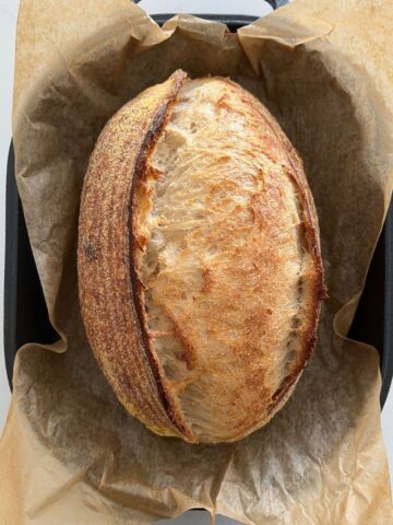 Perfect sourdough batard sitting in a cast iron bread pan. There is parchment paper underneath the sourdough batard.