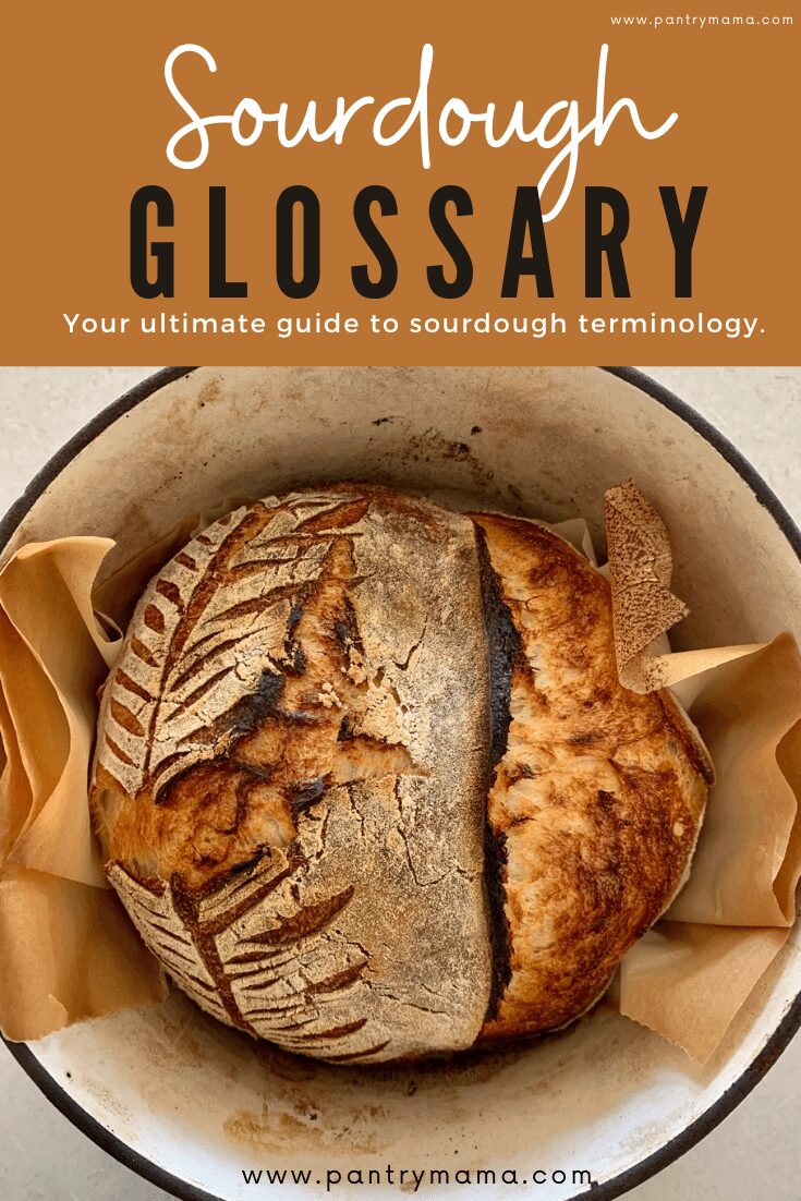 Sourdough Glossary 54 Sourdough Bread Terms Explained The Pantry Mama