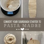 Convert sourdough starter to Pasta Madre for Pannetone