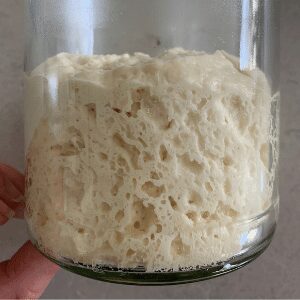 Converting sourdough starter to pasta madre