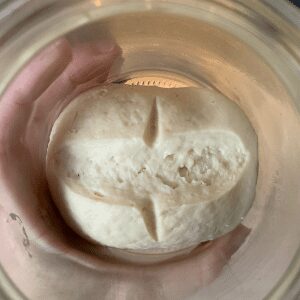 Converting sourdough starter to pasta madre