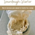 Scaling your sourdough starter so you have enough for a recipe.