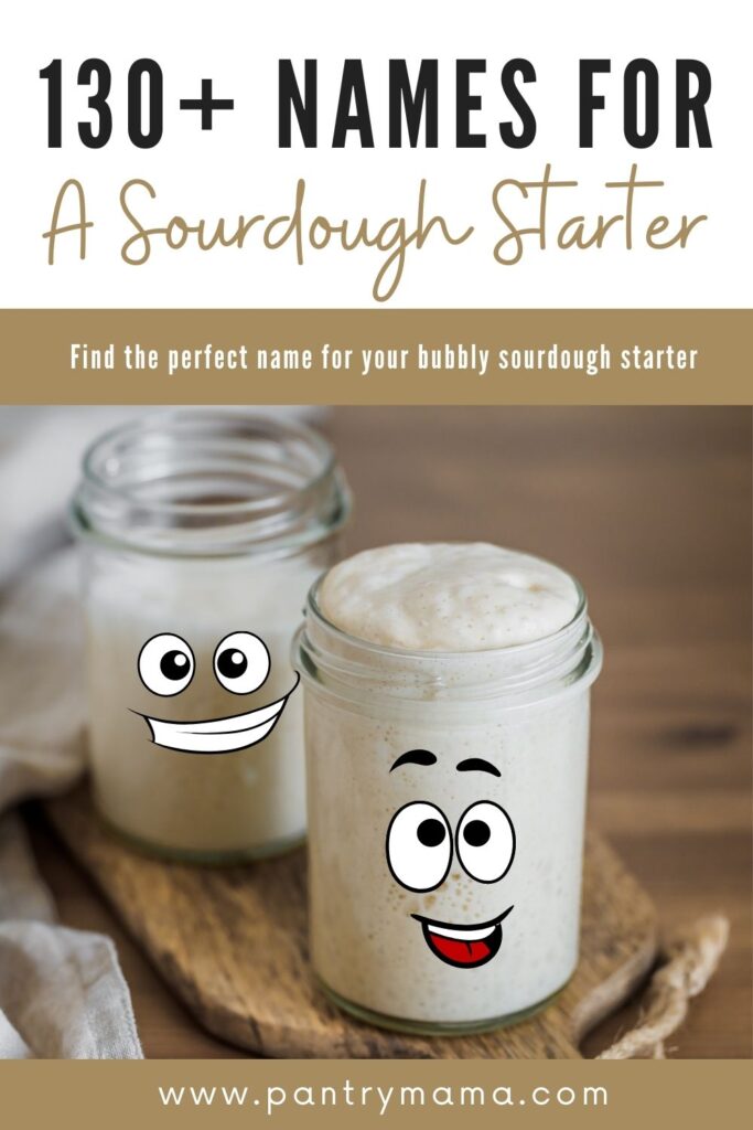 Best Jar For Sourdough Starter [guide to sourdough starter containers] -  The Pantry Mama