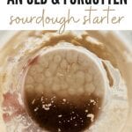 How to save an old forgotten sourdough starter from the fridge.