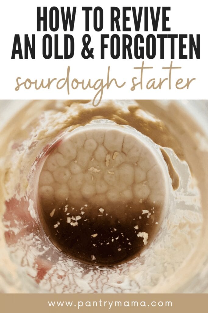 How to save an old forgotten sourdough starter from the fridge.