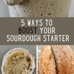 Strengthen a sourdough starter - 5 ways to boost a sourdough starter