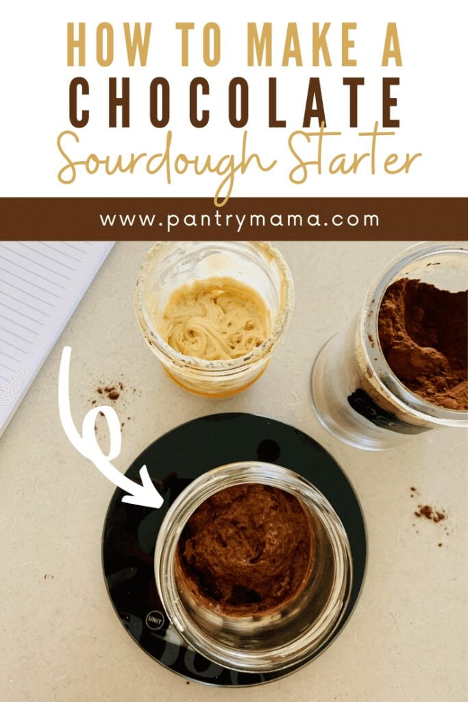 Chocolate sourdough starter - instructions.