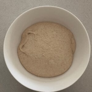 Whole Wheat Rye Sourdough Recipe