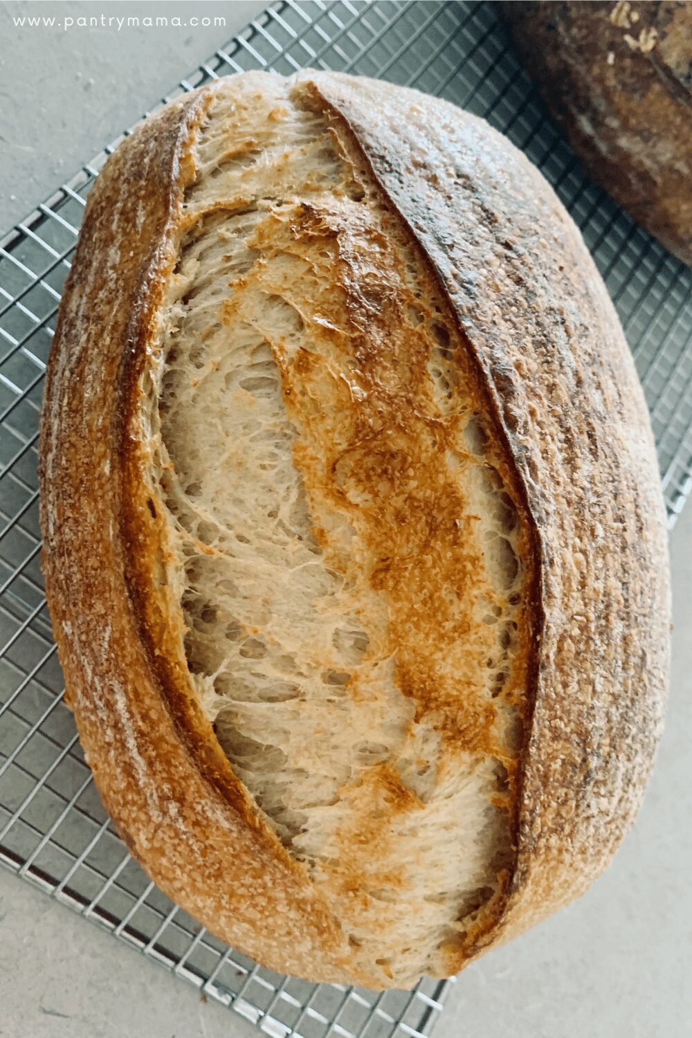 Whole Wheat Rye Sourdough Recipe