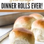 Soft Sourdough Dinner Rolls Recipe