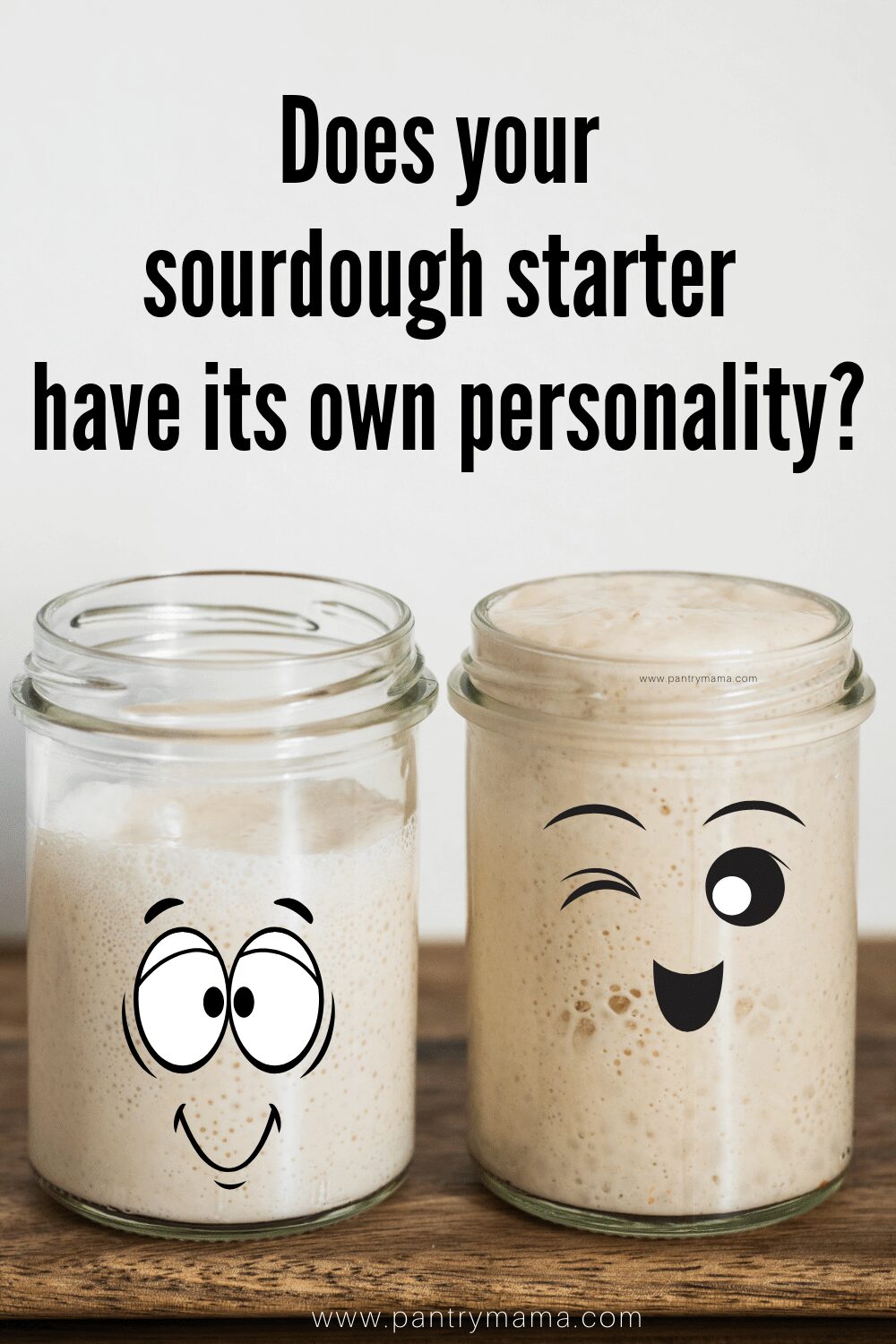 160+ Best Sourdough Starter Name Ideas The Pantry Mama