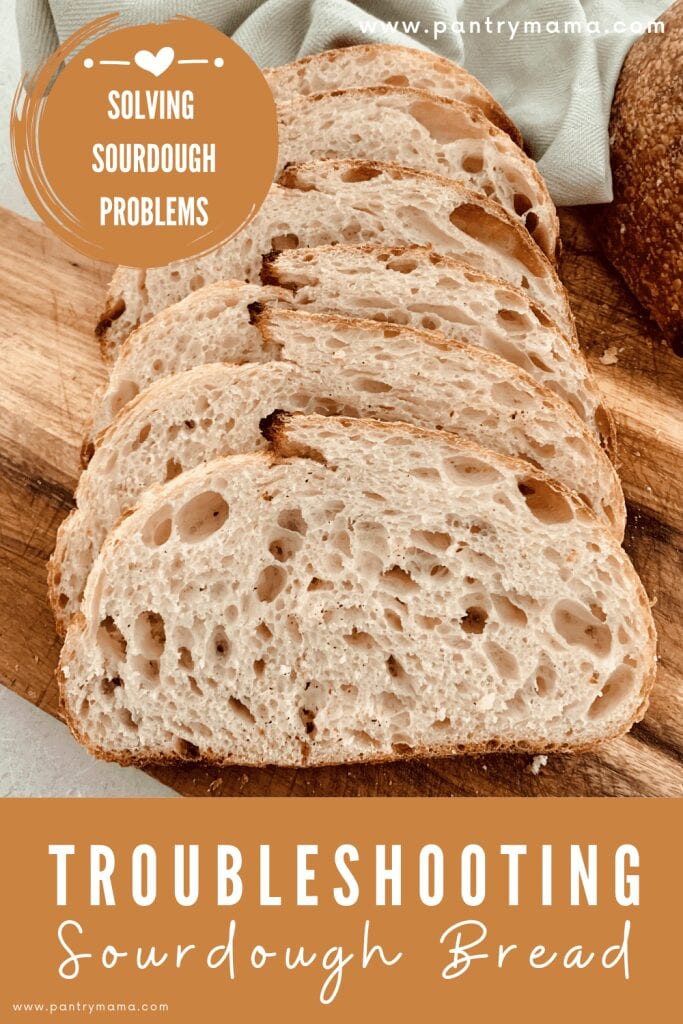 sourdough bread problems - a troubleshooting guide for sourdough bread