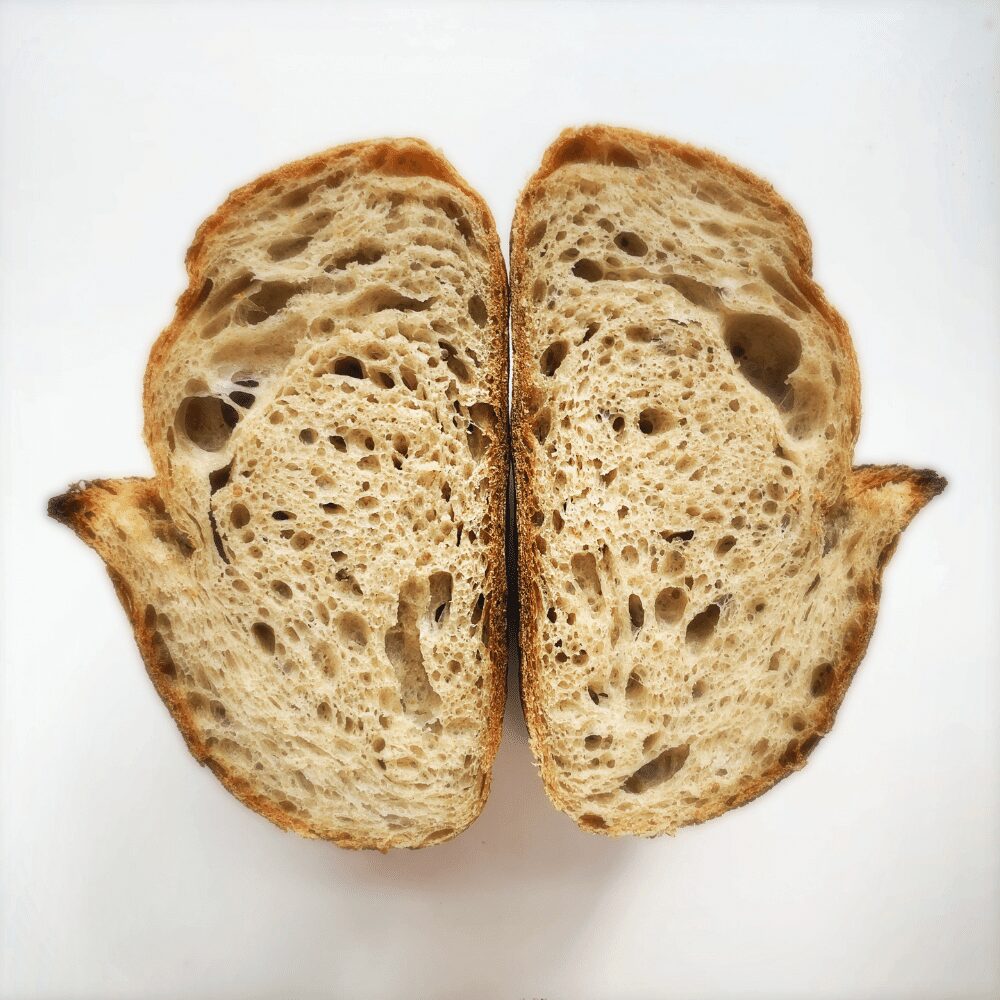 Sourdough glossary - crumb shot