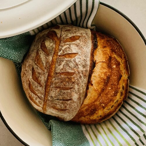 13 Thermomix Sourdough Recipes to Try Right Now The Pantry Mama