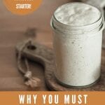 Why you must discard your sourdough starter before you feed