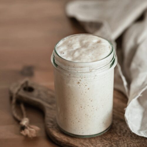 Sourdough Starter Instructions-image
