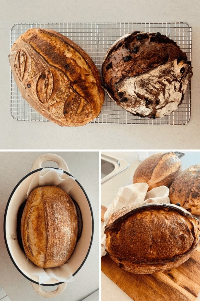 Deciding on which types of sourdough bread to offer your customers - jalapeno cheese, chocolate sourdough, whole wheat rye and cinnamon fruit loaf.