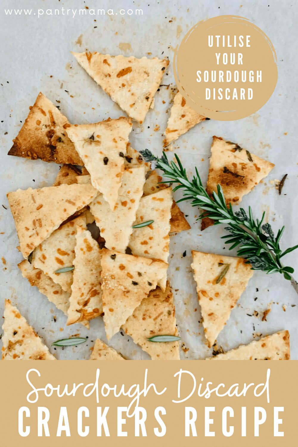 Sourdough discard crackers recipe with parmesan rosemary the pantry