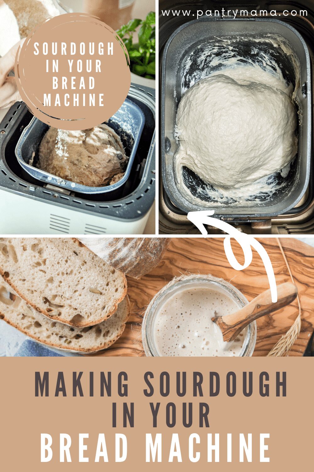 Best Bread Machine Sourdough Recipe No Yeast The Pantry Mama