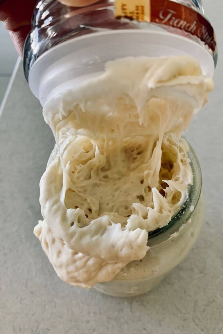 Best Bread Machine Sourdough Recipe No Yeast The Pantry Mama