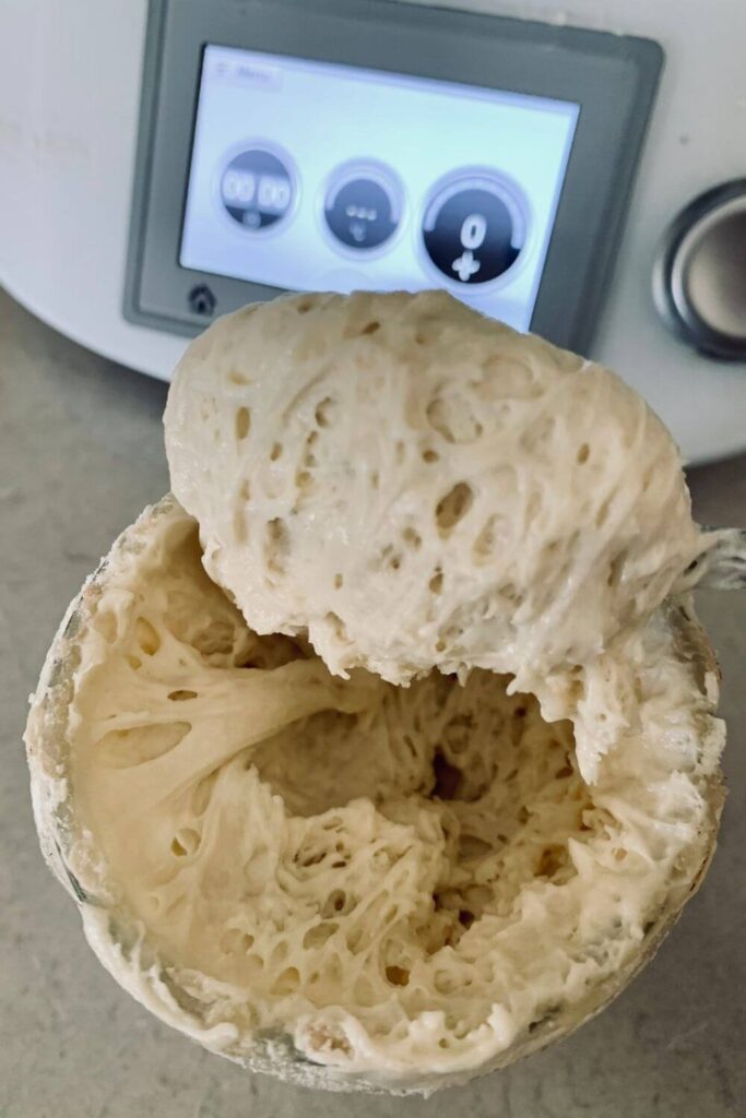 Bubbly active sourdough starter being stirred in front of TM5.