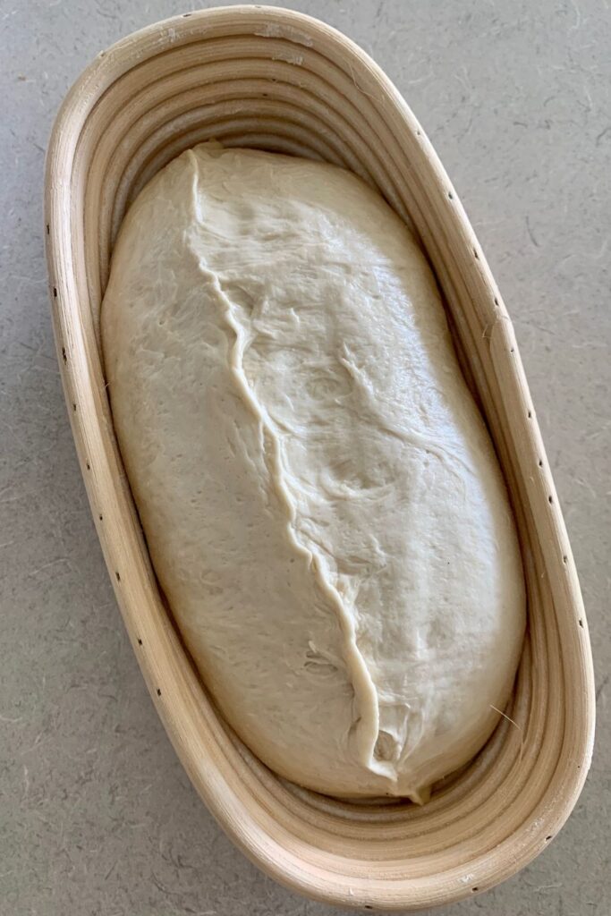 Shaped sourdough ready to go into the fridge for cold fermentation.