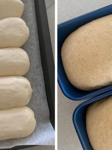 Common dough weights for sourdough bread