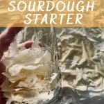 How to dehydrate sourdough starter