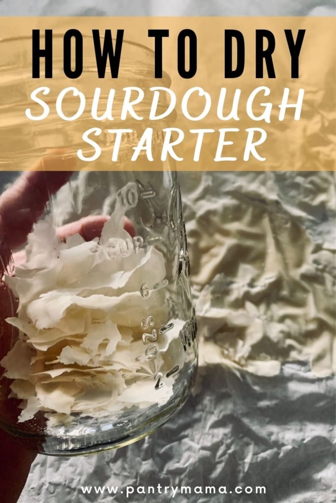 How to dehydrate sourdough starter