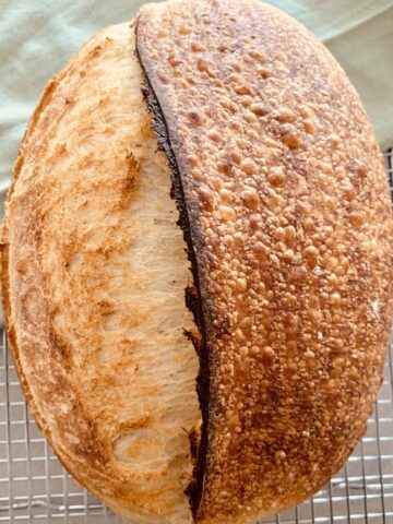 blistered sourdough bread