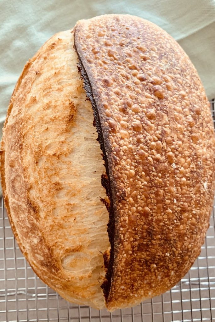 blistered sourdough bread