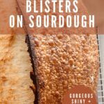 How to get blisters on sourdough bread