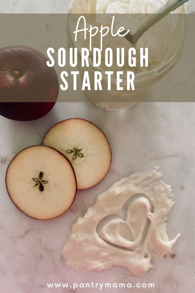 Apple Sourdough Starter PInterest