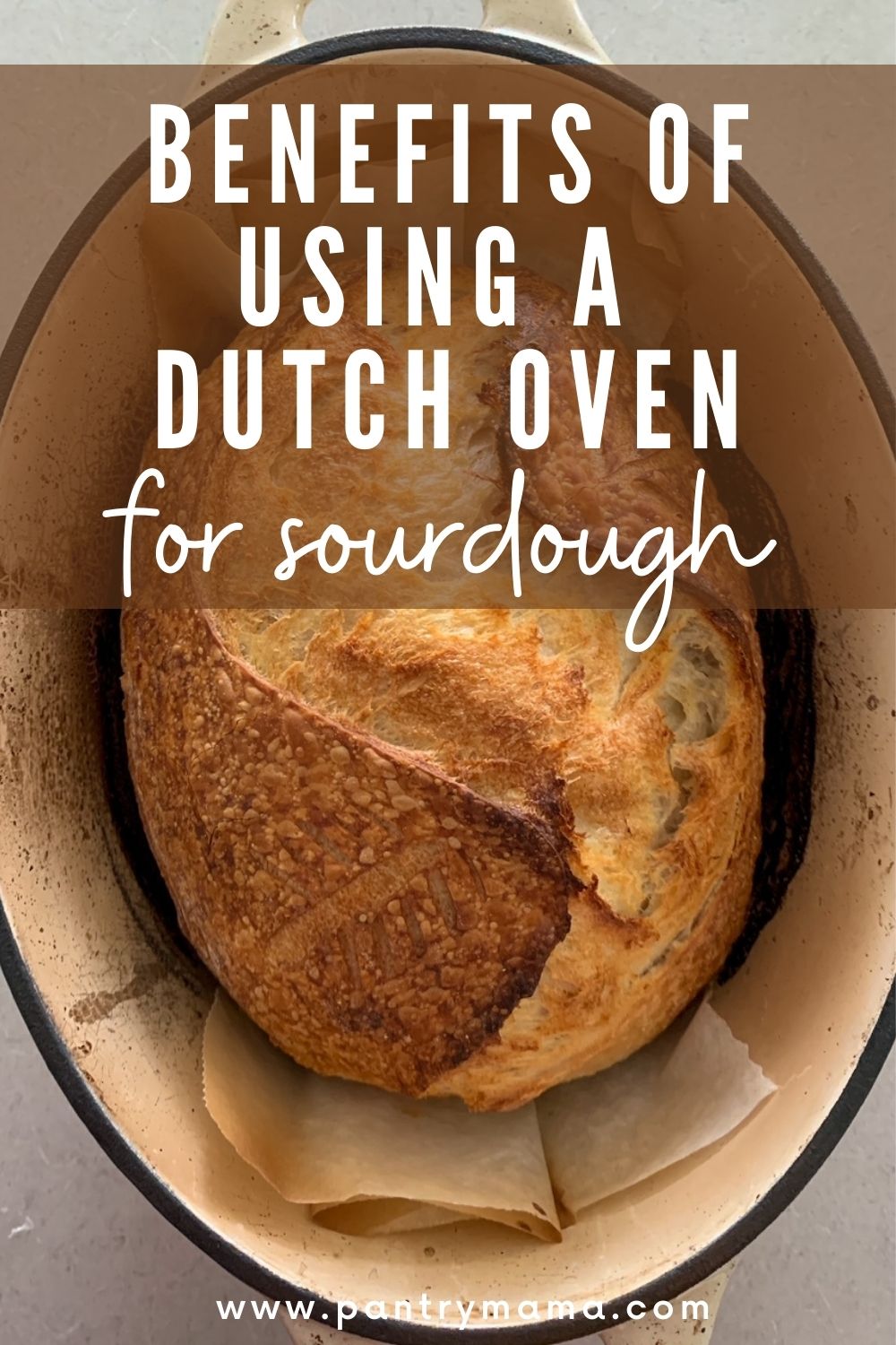 Why Do I Need a Dutch Oven