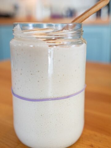 Can you feed sourdough starter right from the fridge?