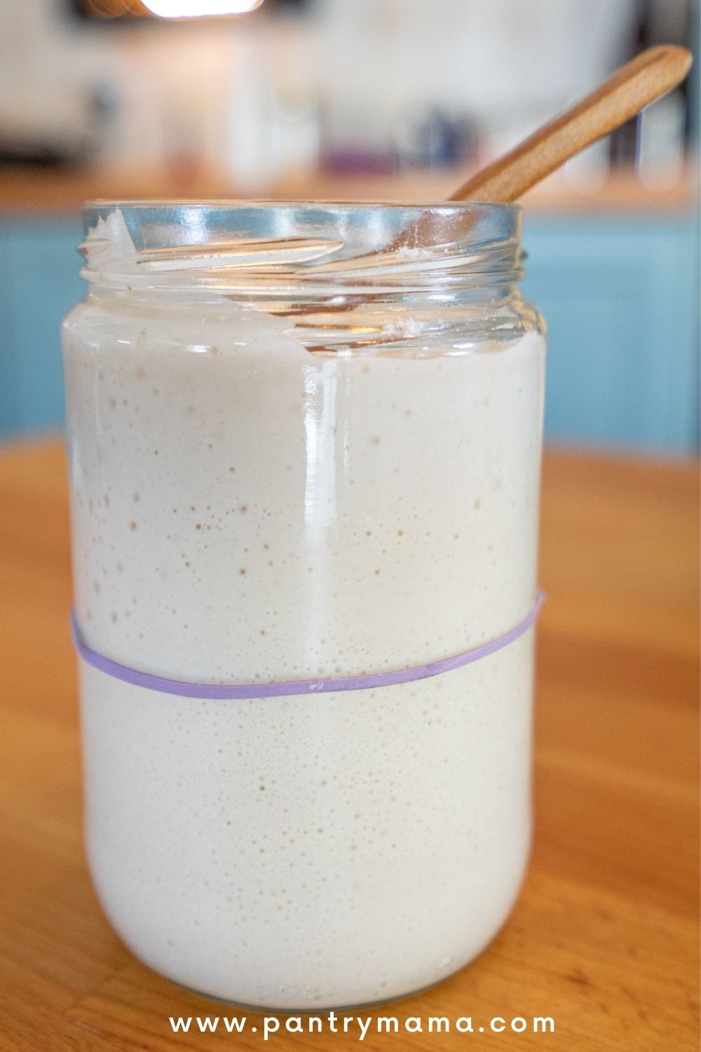 stop-maintaining-multiple-jars-of-sourdough-starter-do-this-instead