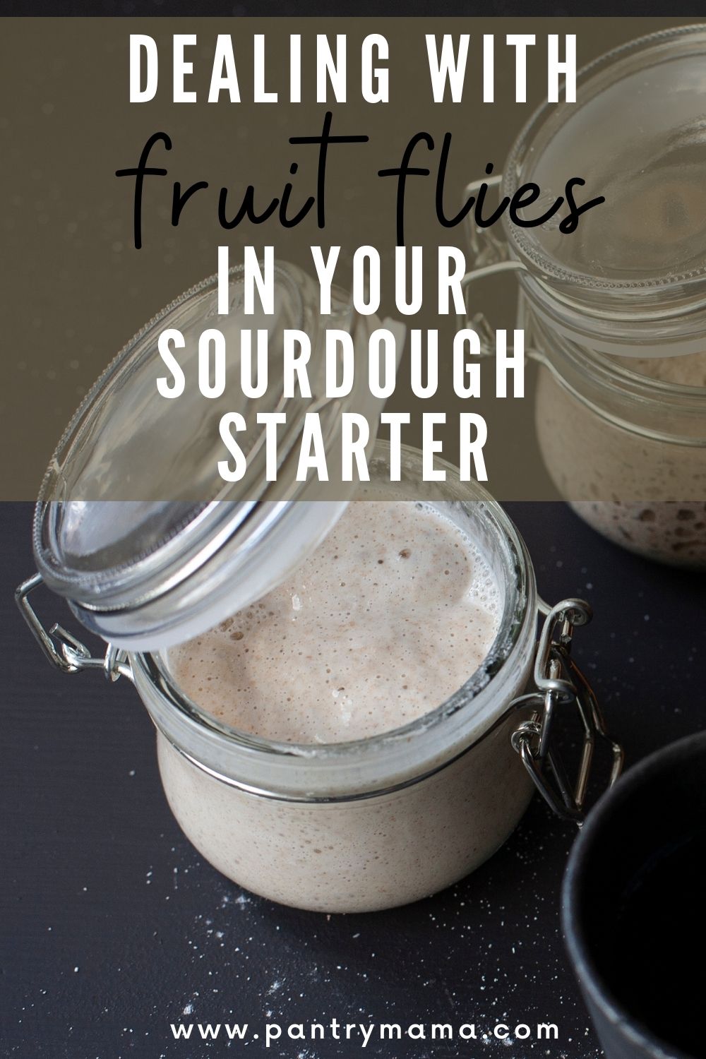 Dealing With Fruit Flies In Your Sourdough Starter The Pantry Mama