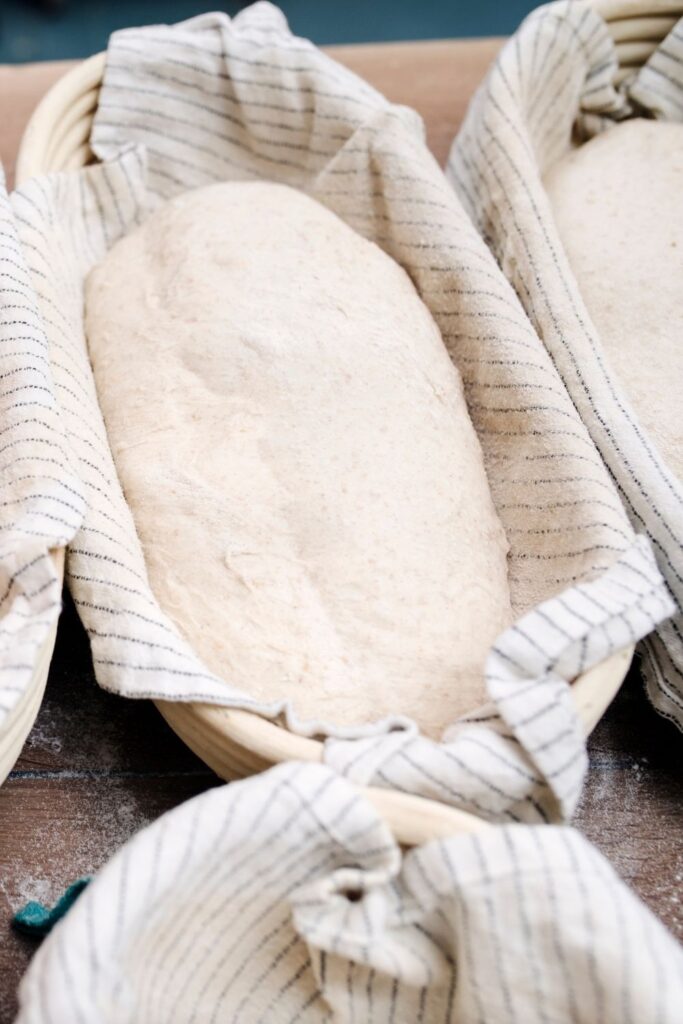 Sourdough bread resting in a banneton for the proofing part of the process.