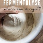 autolyse vs fermentolyse